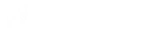 Nice SEO Services