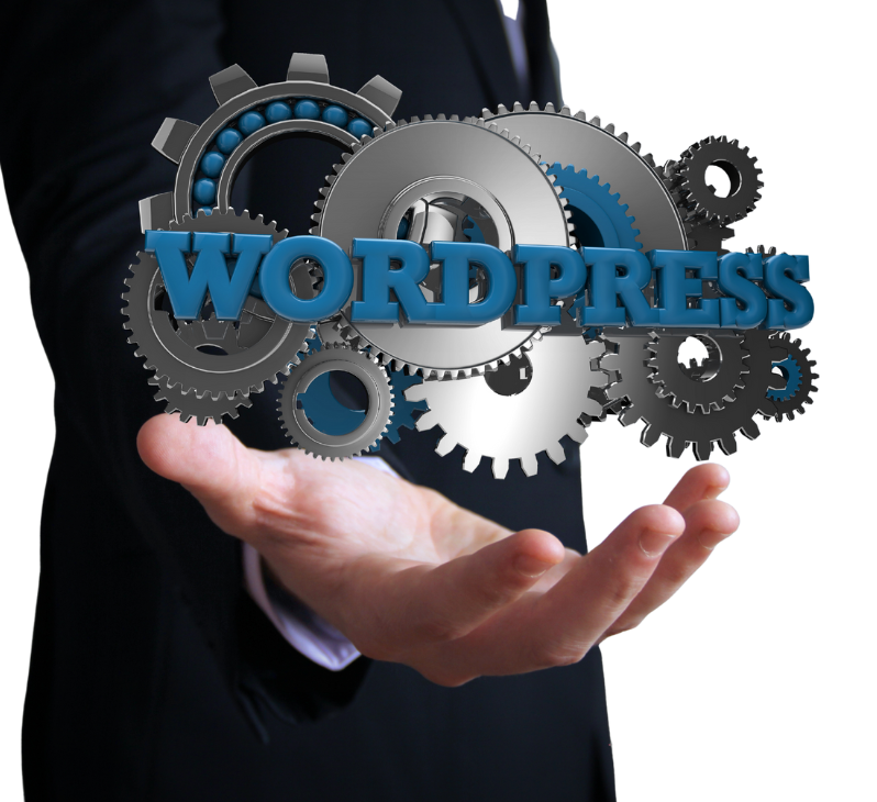 WORDPRESS DEVELOPMENT COMPANY