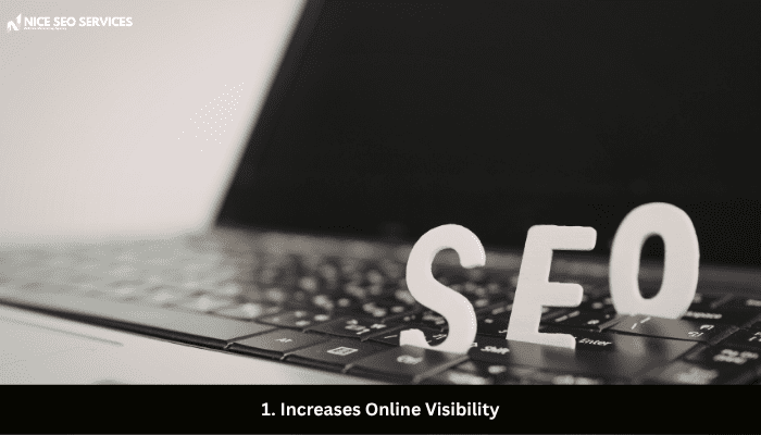 1. Increases Online Visibility